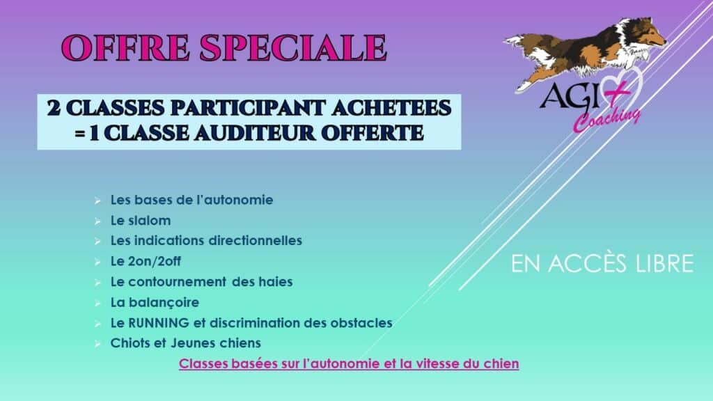 offre spéciales classes en ligne